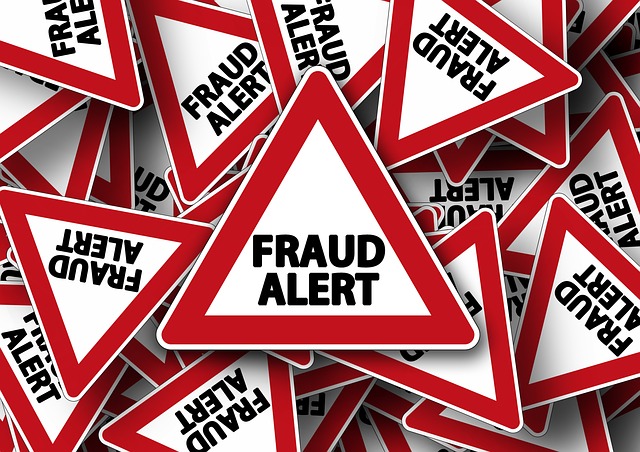 fraud investigator, fraud investigations